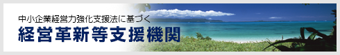 経営革新等支援機関